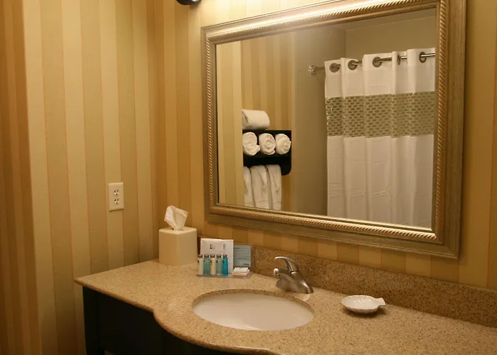Hotel Hampton & Chicago/saint Charles 3*