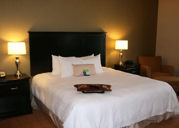Hotel Hampton & Chicago/saint Charles