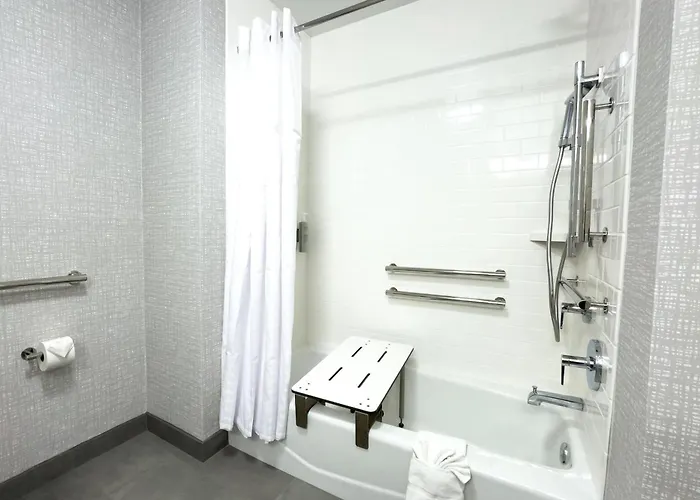 Hampton & Chicago/saint Charles Hotel 3*